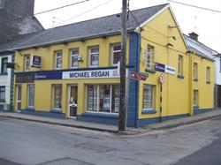 MICHAEL REGAN AUCTIONEERING LIMITED