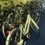 PK Cycles