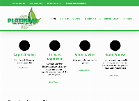 Platinum Carpet & Upholstery Cleaning's website