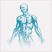 Dublin Physiotherapy Clinic