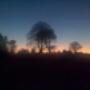 Uploaded by visitor on 03/04/2017