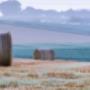Agricultural Law