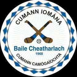Carlow Town Hurling Club, Carlow