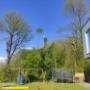 Operating from Cork, O’ Kennedy Tree Care is a family run business established in 1995 by Kevin O’ Kennedy. During this time we have been providing professional and specialist tree care services to public bodies, commercial and residential clients, acquiring an extensive client base across both the domestic and commercial sectors in the Munster region.