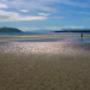 Shimmering Light, Ventry Beach - photo