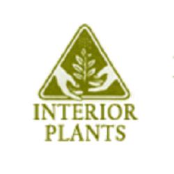 Interior Plants