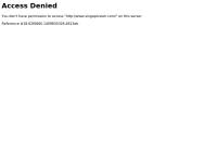 Singapore Airlines Ltd
