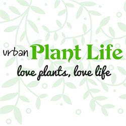 Urban Plant Life