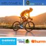 Kids Bikes, Electric Bikes, Bikes