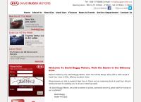 David Buggy Motors