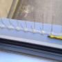 Owl pest control dublin – Bird spikes