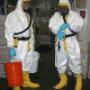 Owl pest control dublin – Contamination cleaning