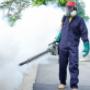 Owl pest control dublin – Fumigation