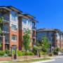 Owl pest control property management apartments