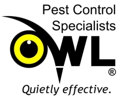 Owl Pest Control Dublin