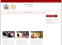 The National Irish Safety Organisation Company Limited By Guarantee
