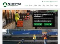 APEX SURVEYS LIMITED
