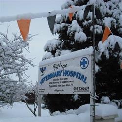 Village Veterinary Hospital