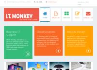 I.T. Monkey Naas, Kildare