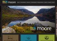MOORE GROUP
