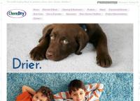 Chem Dry Mayo's website