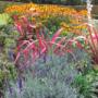 Ornamental Planting