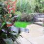 Urban Exotic Garden