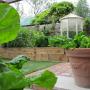Urban Potager