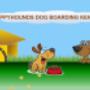Dog Boarding Kennels Meath