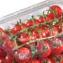 Punnets