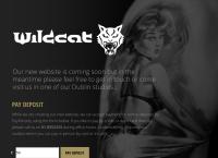 Wildcat Ink's website