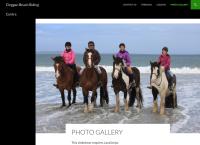 Cleggan Beach Riding Centre