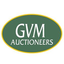 Gvm Auctioneers