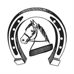 Killarney Jaunting cars Ltd-Tangney Tours Ireland