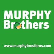 MURPHY BROS. (FERNS) LIMITED