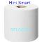Mini-Smart-T-Rolls-23-50