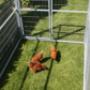 Chicken Runs