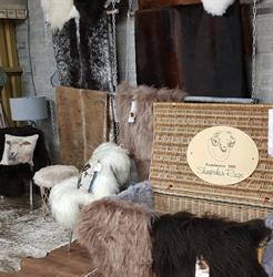 Carpet & Rug Centre The