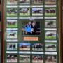 Framed Montage