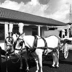 Donnellan Undertakers