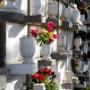 Cremation