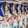 Gas Fittings