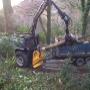Cosgrove Tree Services