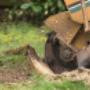 Stump Grinding