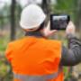 Tree Surveys / Reports