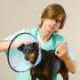 MODERN VETERINARY DIAGNOSIS AND TREATMENT