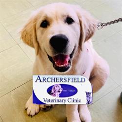 Archersfield Veterinary Clinic