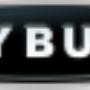 Authorised Agent for Rayburn