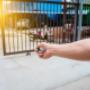 Automatic Gates and Doors