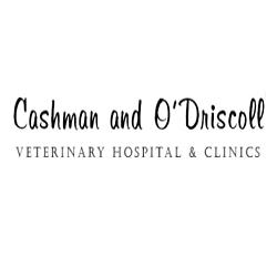 Cashman & O'Driscoll